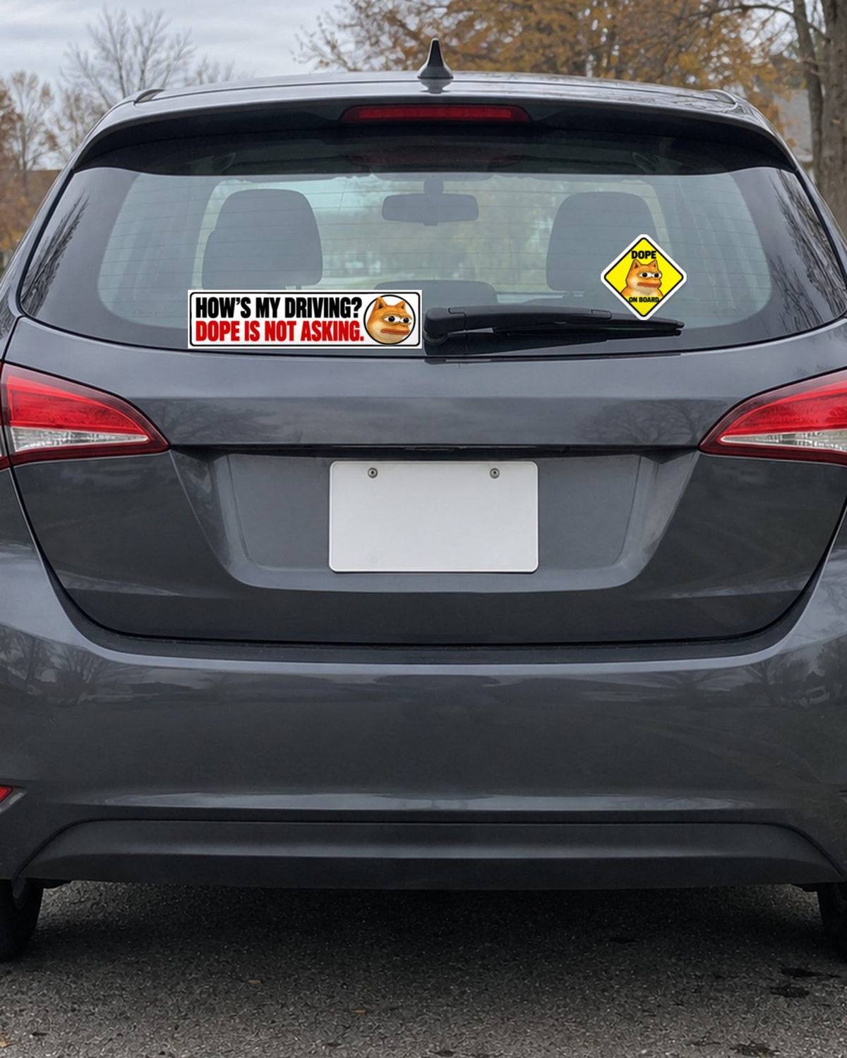 How's My Driving? Bumper Sticker, on a car